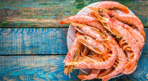 Shrimp House: Forrest Gump inspiracją do stworzenia barów krewetkowych (wywiad)