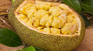 Dżakfrut - krótka historia niechcianego owocu, który podbija menu wegan i Instagram