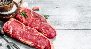 Sektor mięsny stawia na HoReCa