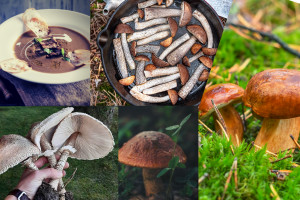 Na grzyby! 7 inspiracji horecatrends.pl