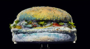 Czy reklama Burger King ze spleśniałym burgerem zmieni rynek? (opinie)
