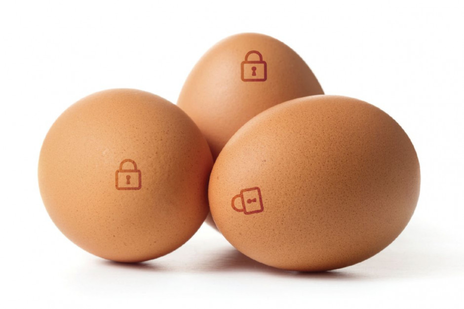 Ovovita wprowadza na rynek jaja kurze pasteryzowane w skorupie EggSafe