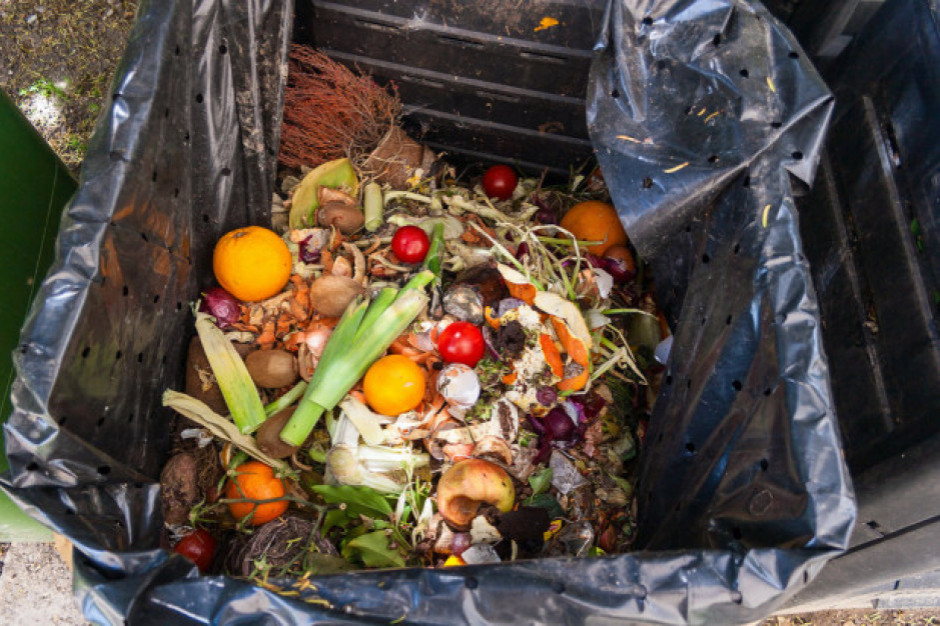 W Polsce 39 % żywności kupowanej w każdym tygodniu jedzenia trafia na śmietnik (badanie)
