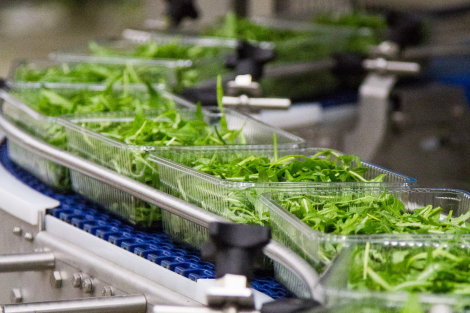 Green Factory przejmuje węgierskiego producenta sałat dla HoReCa