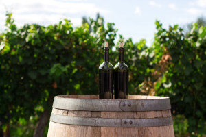 Francja: Produkcja wina na historycznie niskim poziomie