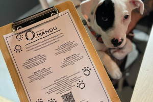Polskie restauracje wprowadzają menu dla psów