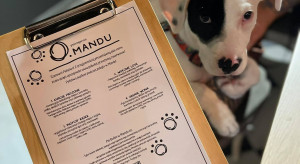 Polskie restauracje wprowadzają menu dla psów