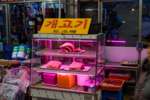 Czy Korea Południowa zakaże jedzenia mięsa psów?