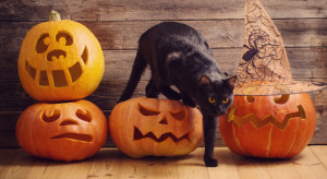 Dynia na Halloween i całą jesień - Inspiracje Horecatrends