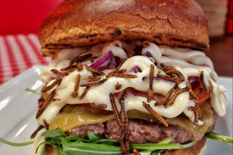 Burger i pizza z jadalnymi owadami już w Polsce. Jedna z sieci wprowadza owady do oferty