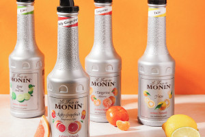 Gin - odkryj doskonały balans smaku dzięki produktom MONIN