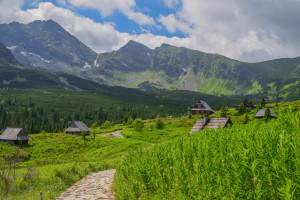 Wakacje w Tatrach. "Kumulacja turystów spodziewana w sierpniu"